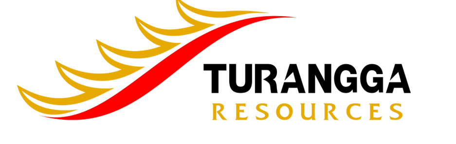 branding logo